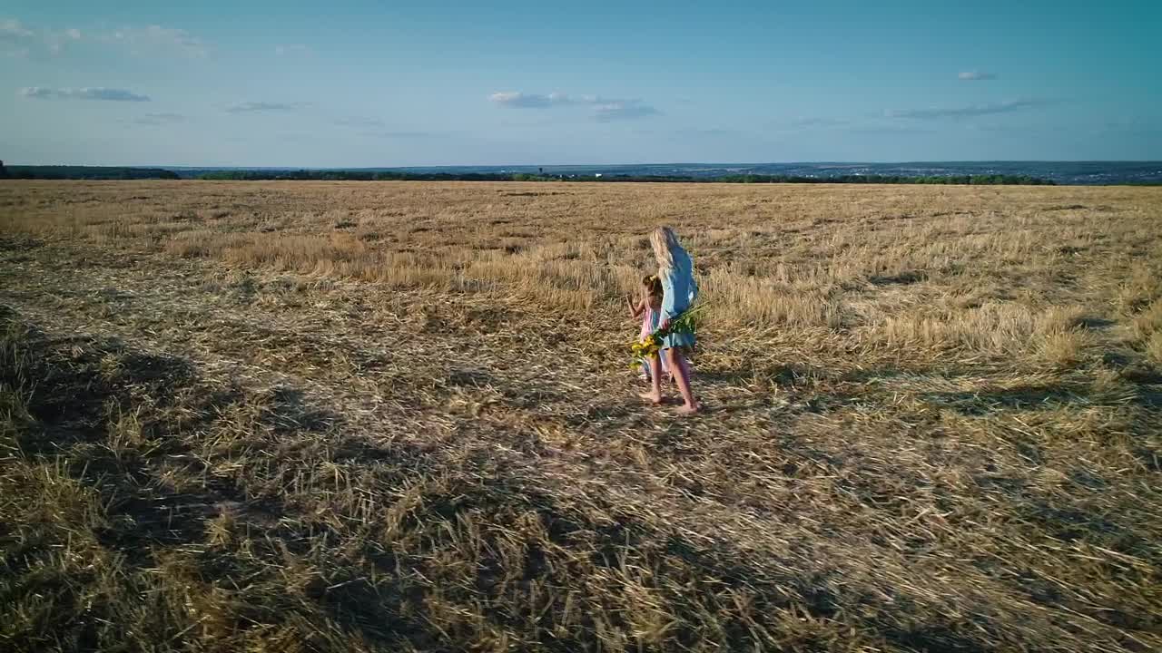 Stock Footage Walk In The Field Conceptual Video Live Wallpaper - Free Download