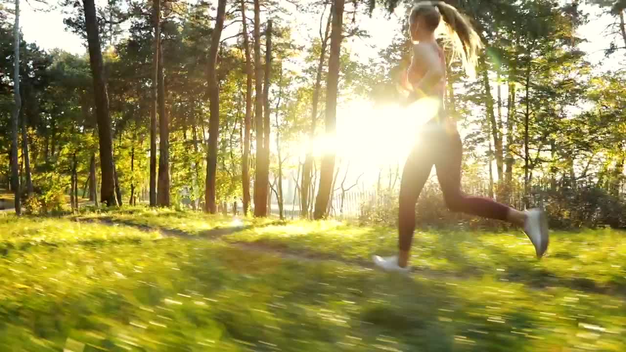 Free Video Stock Slim Runner Running Against The Light In The Park Live Wallpaper - Free Download