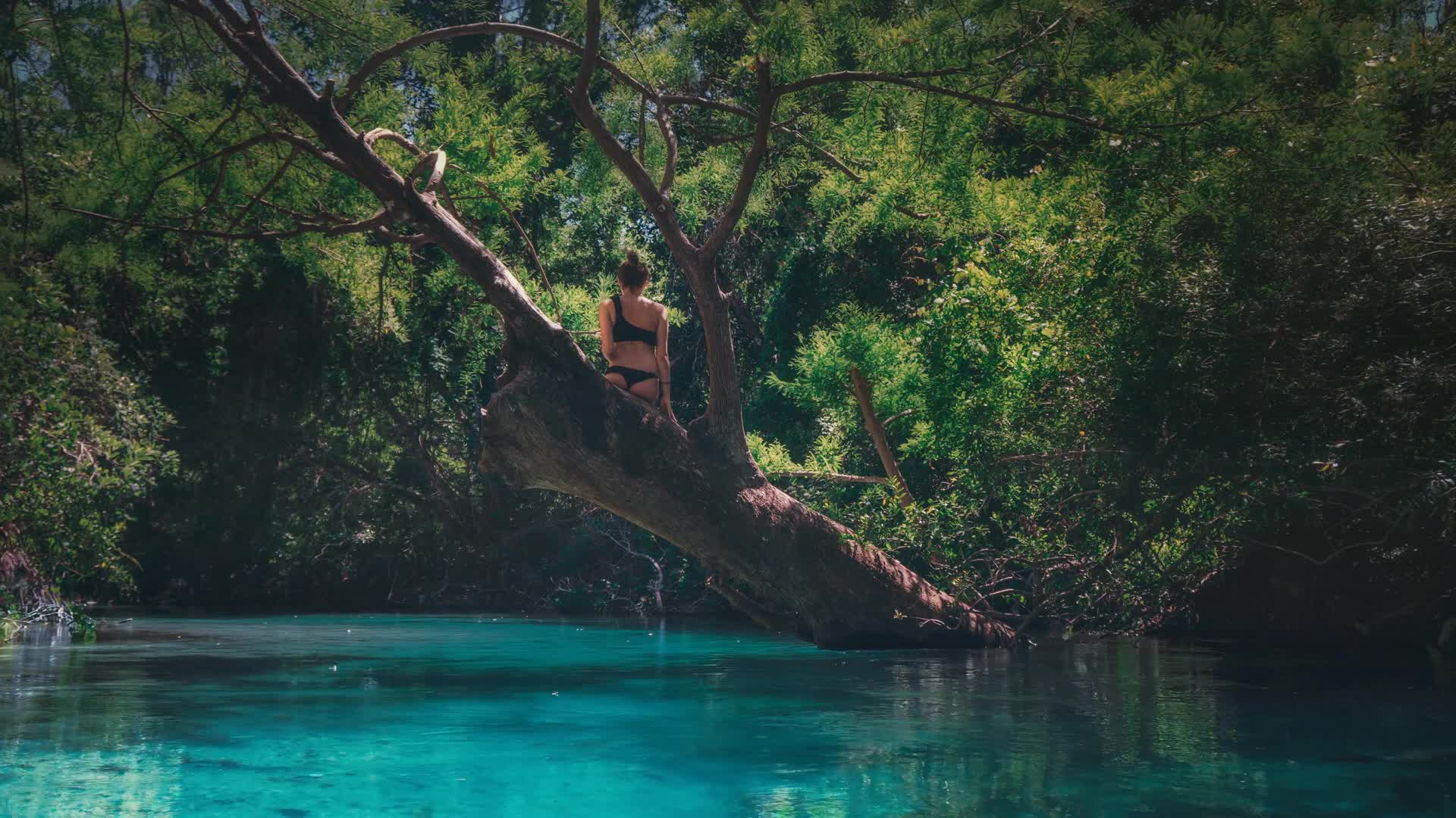 Weeki Wachee River in Florida HD Live Wallpaper - Free Download
