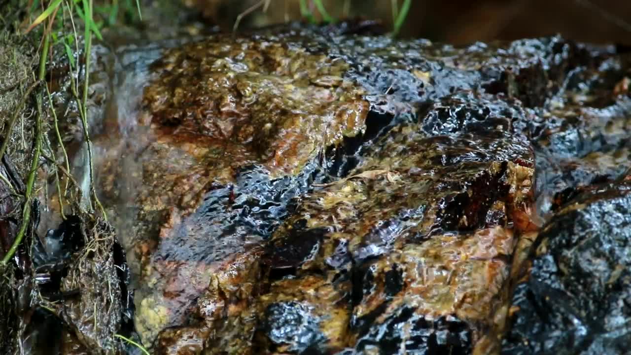 Stock Footage Water Flowing Over Muddy Rocks Live Wallpaper - Free Download