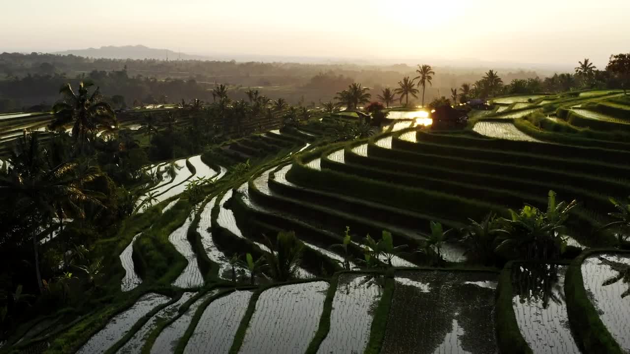 Free Stock Video Rice Terrace Filled With Water Aerial Shot Live Wallpaper - Free Download