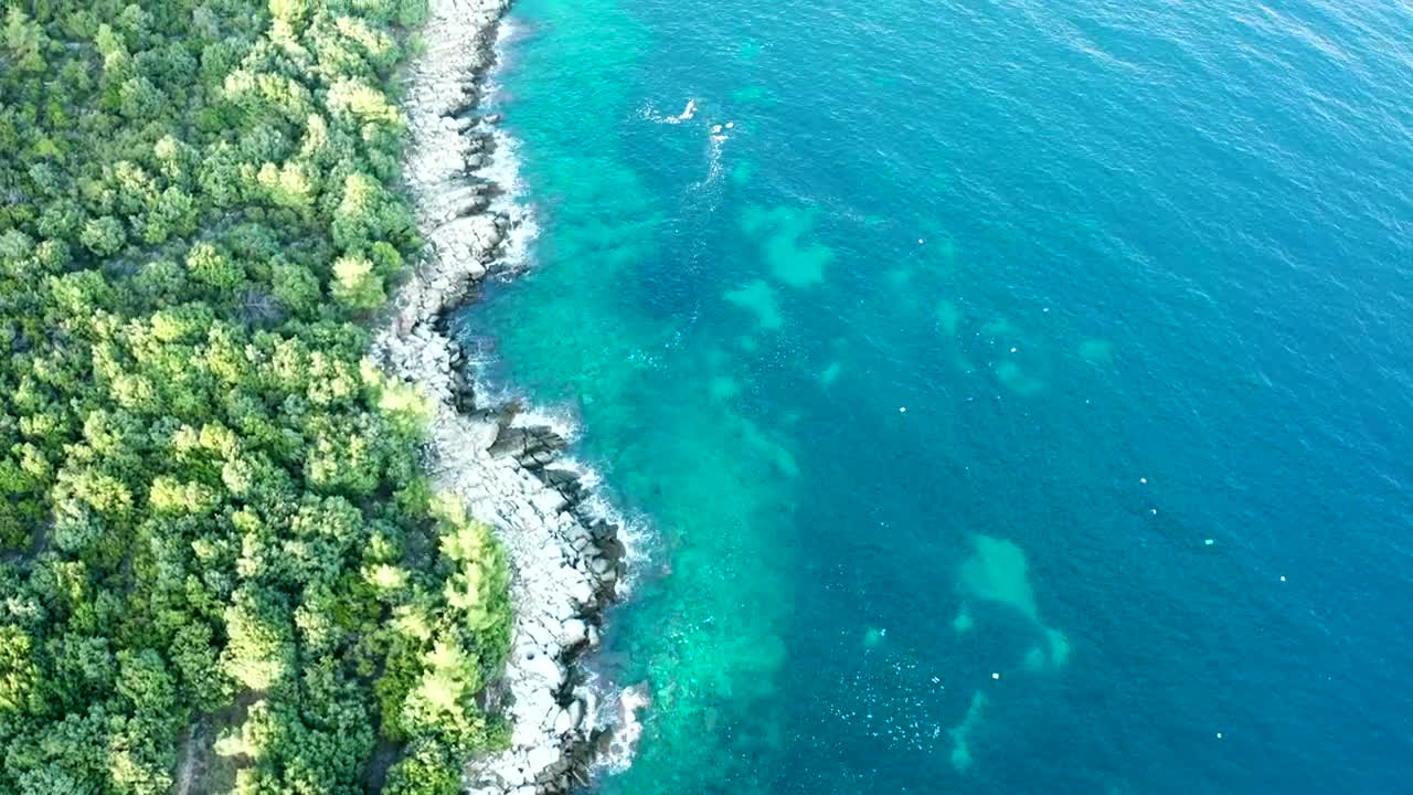 Video Stock Clear Coastal Waters And Forest Live Wallpaper For PC - Free Download