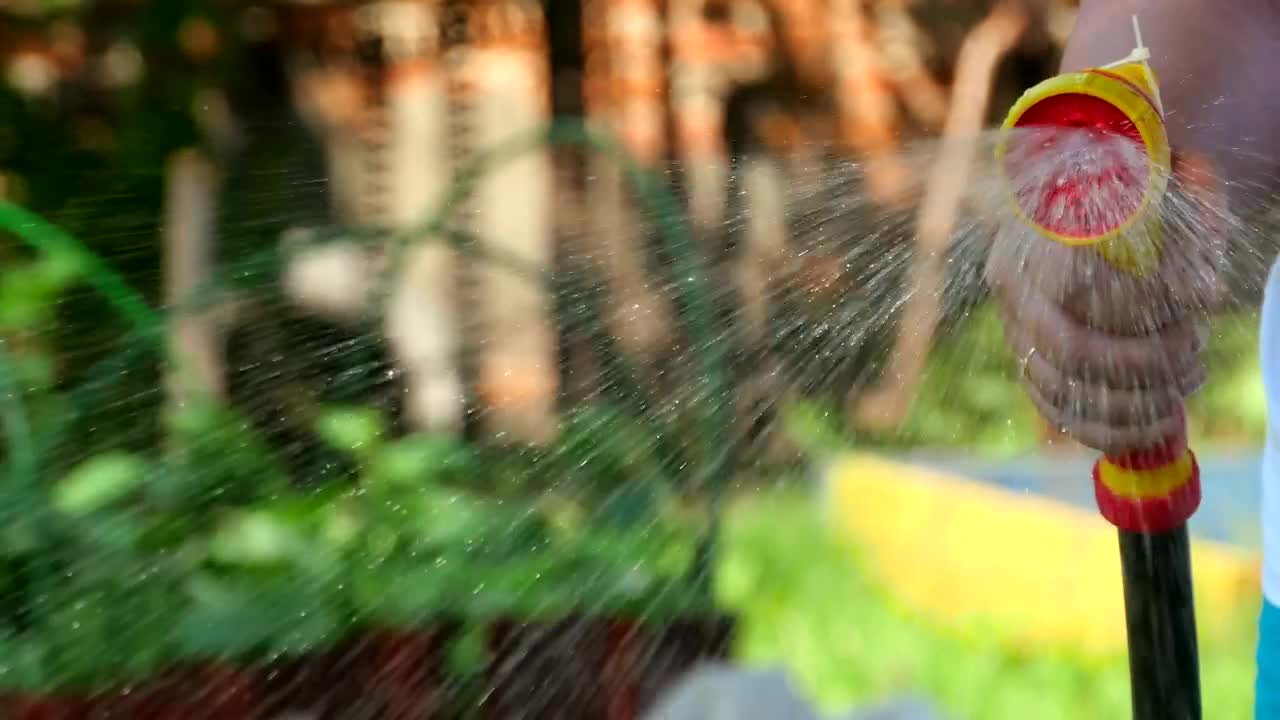 Stock Video Garden Sprayer Live Wallpaper For PC - Free Download