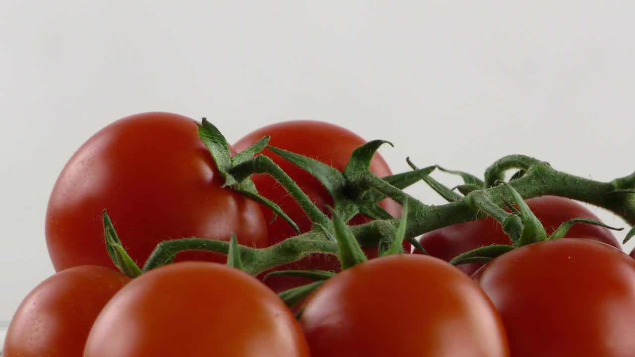 Video Stock Red Tomatoes On White Background Live Wallpaper Free - Free Download
