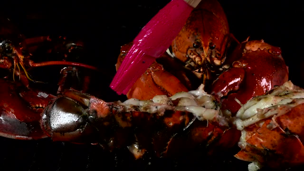 Stock Video Lobster Over A Grill Animated Wallpaper - Free Download
