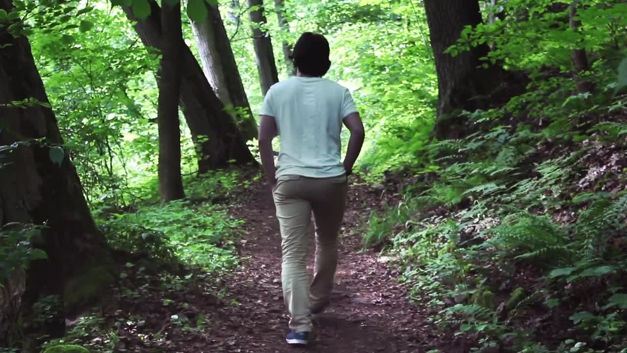 Free Stock Video Walk Through A Forest With A Lot Of Vegetation Live Wallpaper - Free Download