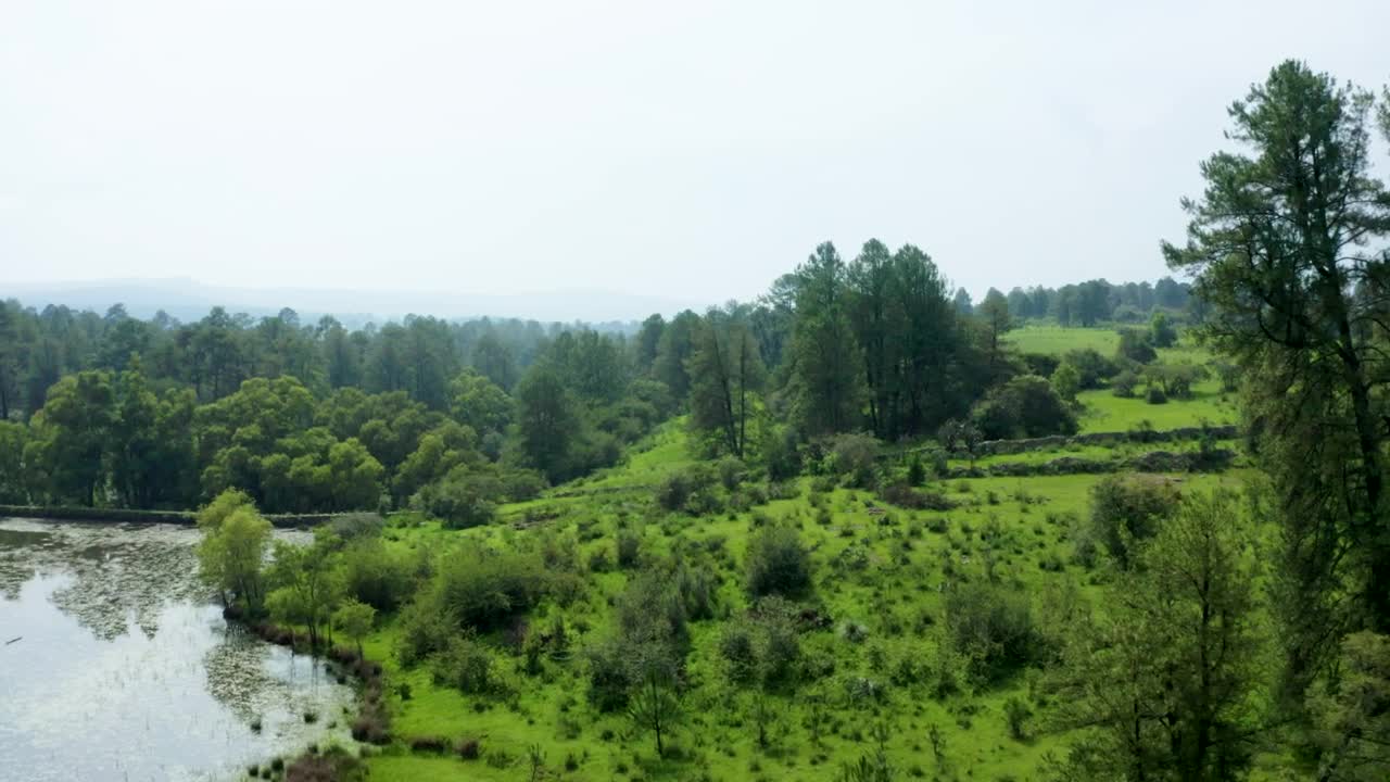 Stock Video Natural Landscape In An Aerial View Around A Forest Live Wallpaper - Free Download