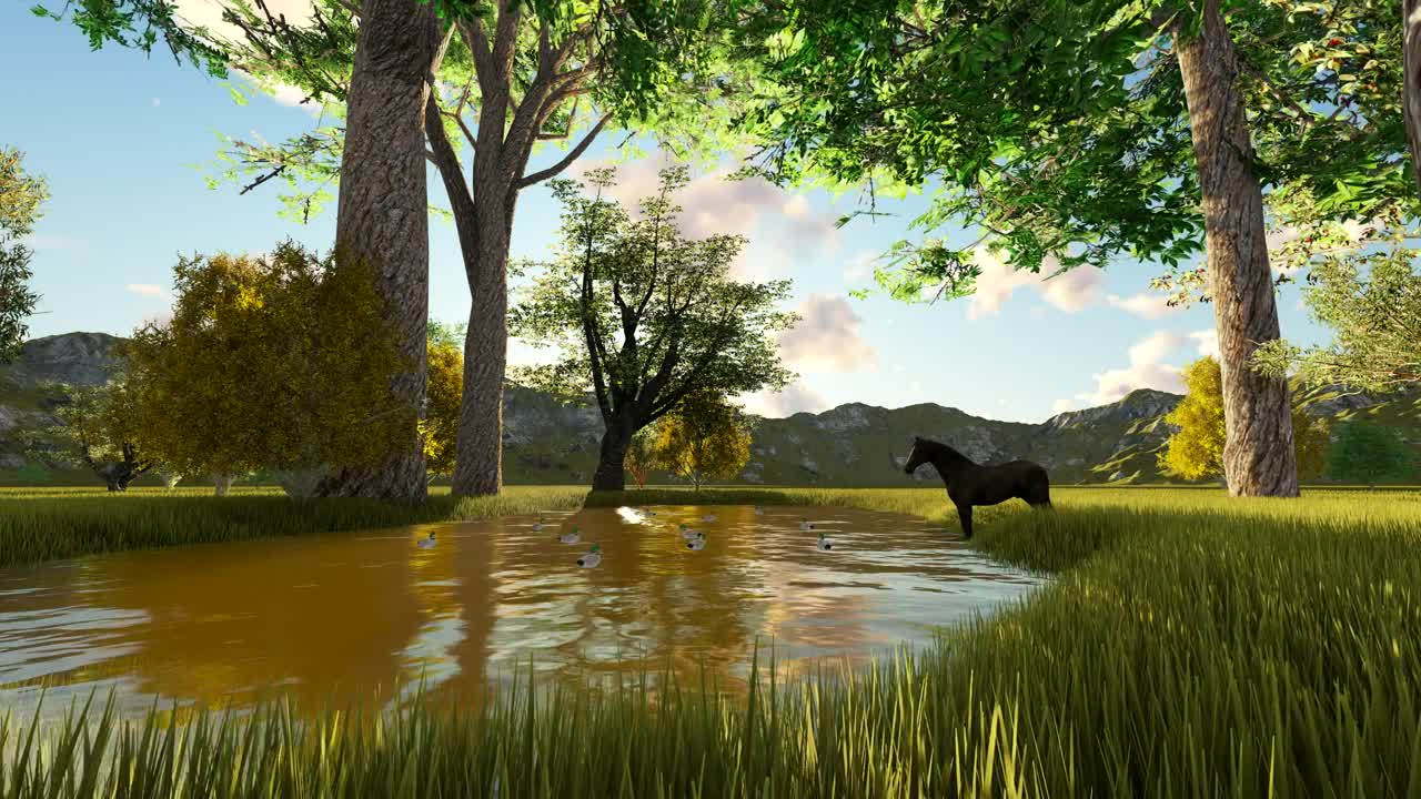 Stock Video Ducks And A Horse On A Lake In The Forest Live Wallpaper For PC - Free Download