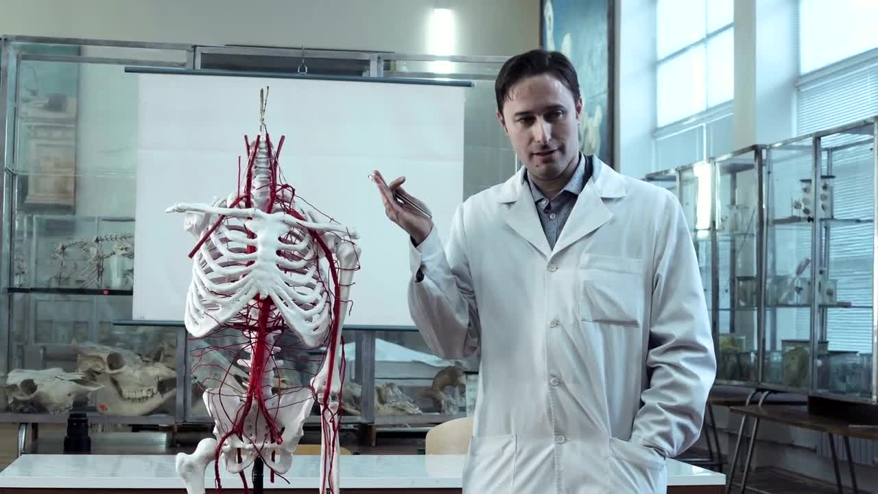 Video Stock Professor Explaining Human Anatomy Live Wallpaper Free - Free Download