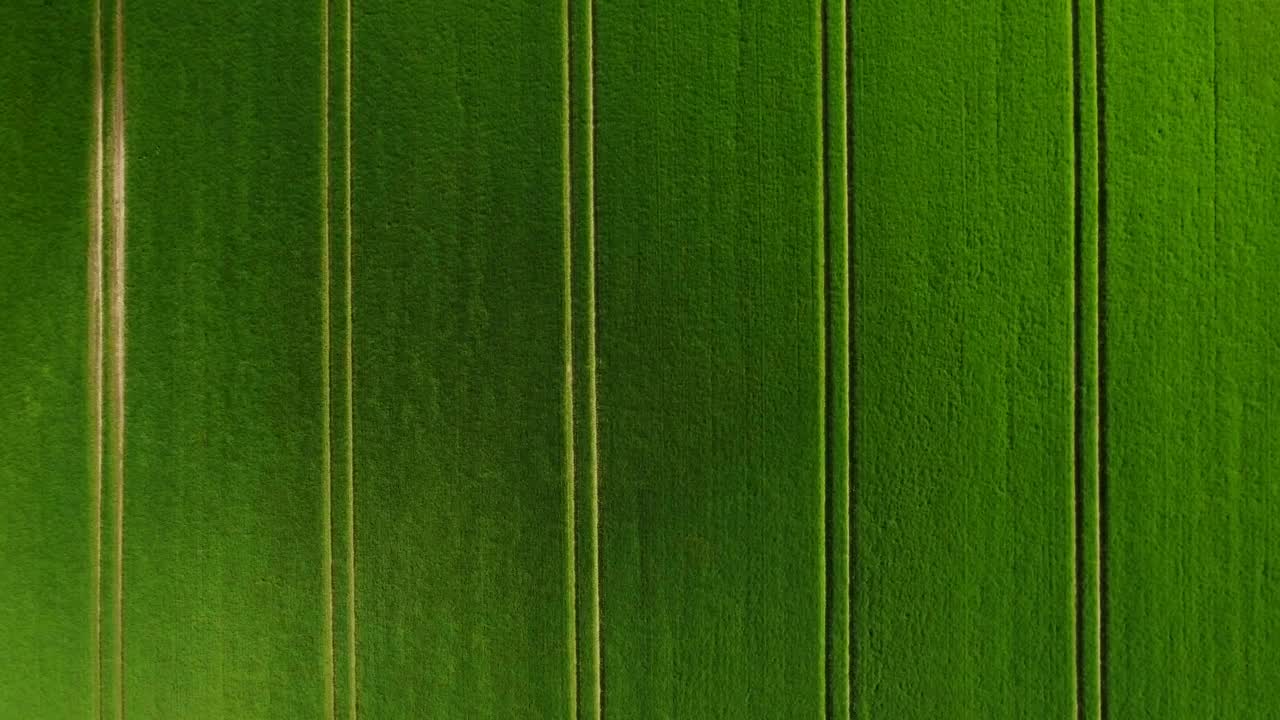 Free Video Stock tractor lanes in a green field Live Wallpaper - Free Download