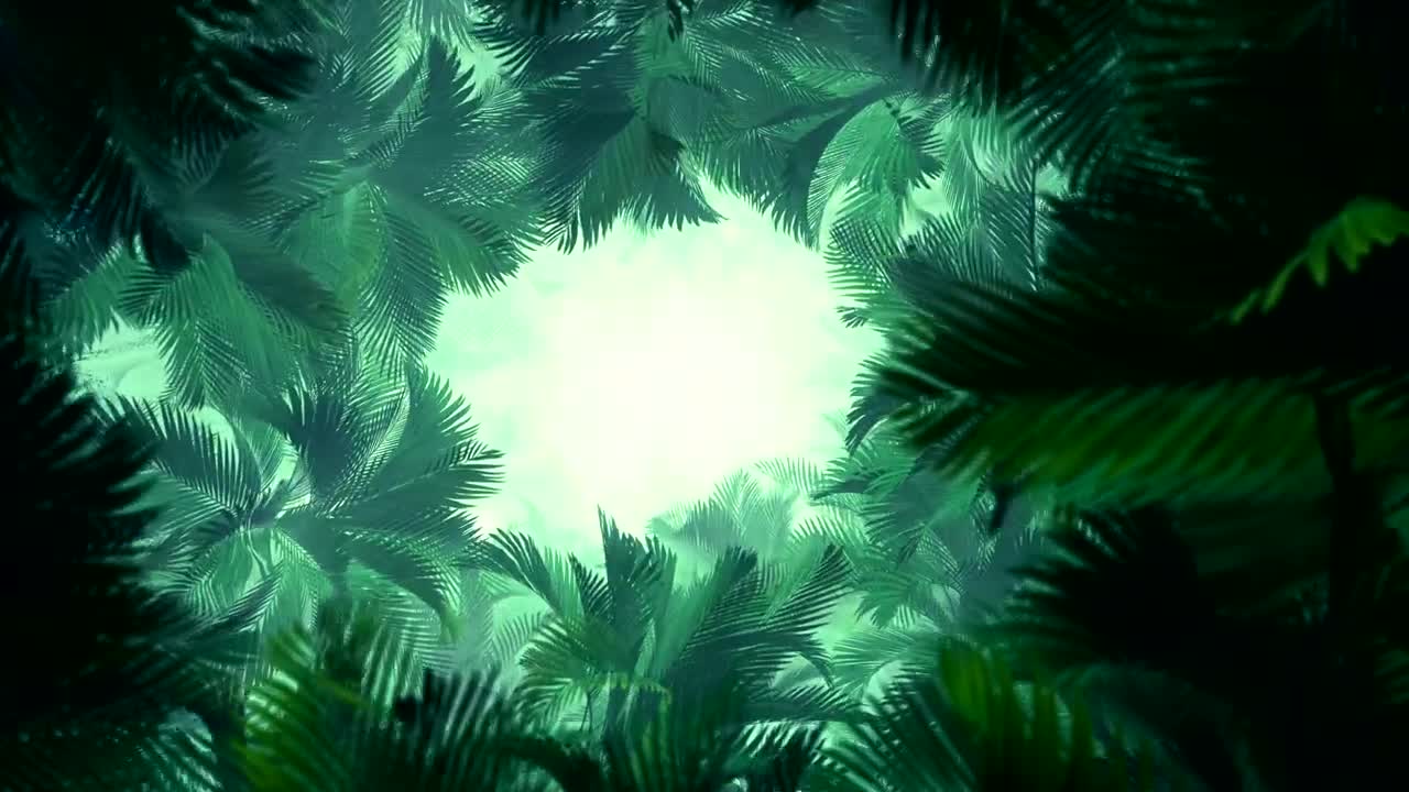 Free Stock Video Tunnel Of Light Through Tropical Palm Trees Live Wallpaper - Free Download