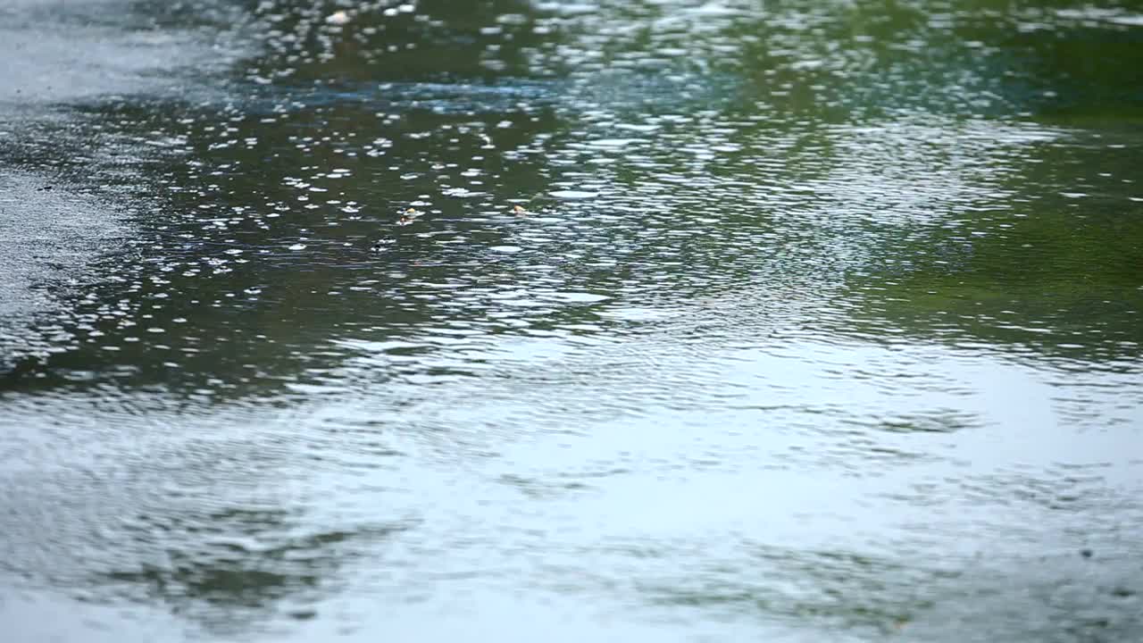 Video Stock Closeup Of Rain In The Asphalt Live Wallpaper For PC - Free Download