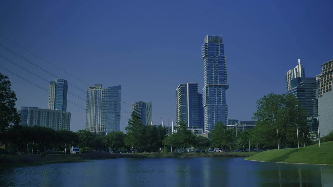 Stock Video Ducks In A Natural Park Of A Big City Live Wallpaper For PC - Free Download