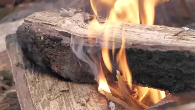 Stock Video Large Piece Of Wood On Flames Smal Animated Wallpaper - Free Download