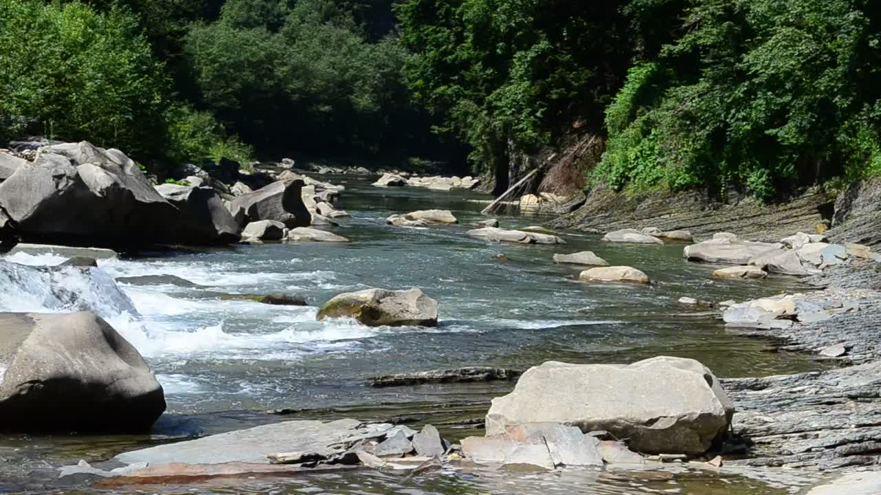 Free Stock Video River Flowing Through A Forest Creek Live Wallpaper - Free Download