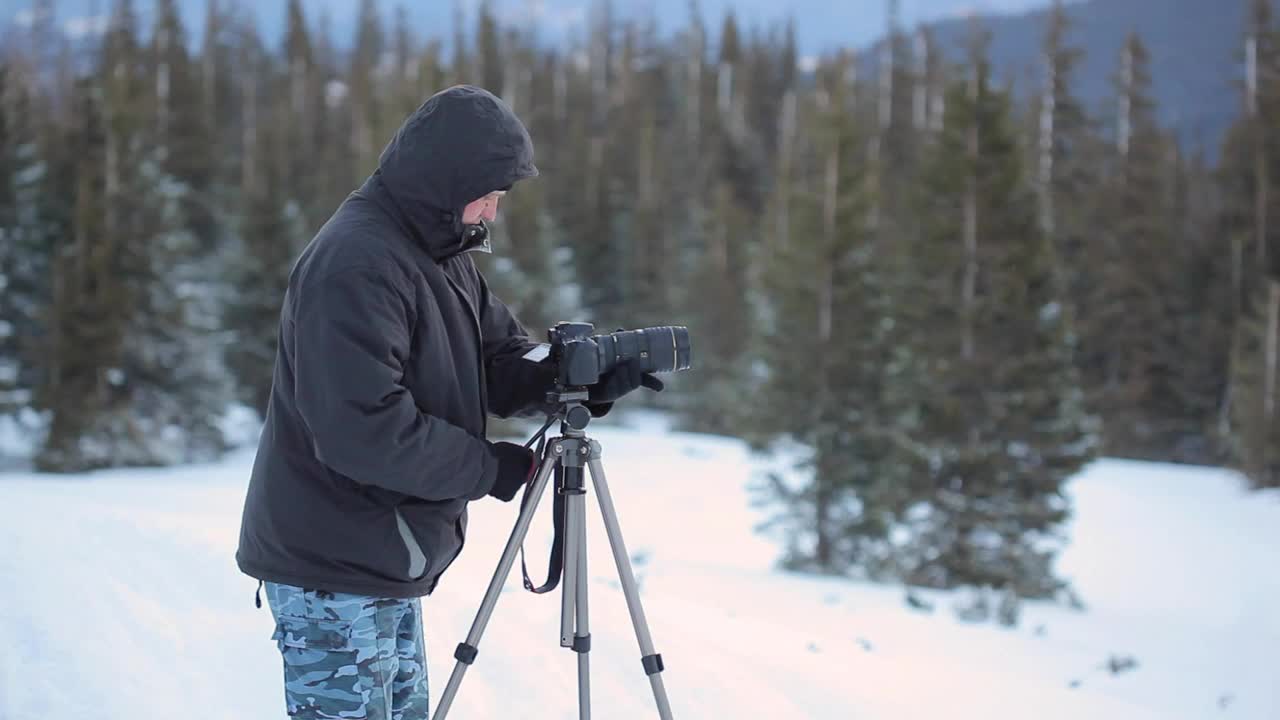 Video Stock Photographer And His Tripod Camera In A Snowy Forest Live Wallpaper Free - Free Download