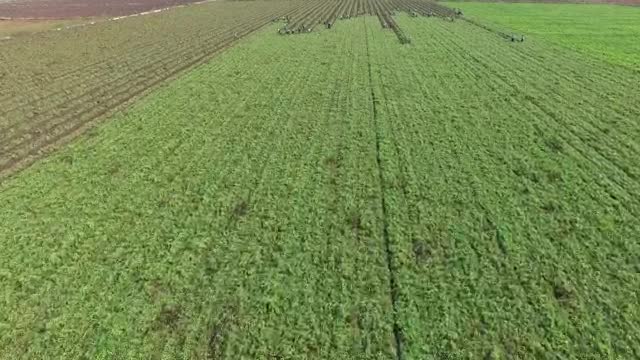 Stock Video People Harvesting In A Large Agricultural Field Live Wallpaper - Free Download
