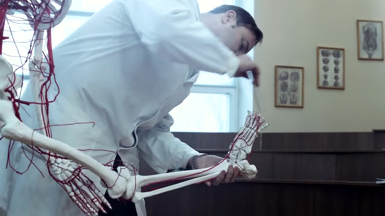 Video Stock Professor Teaching Human Anatomy At The University Live Wallpaper Free - Free Download