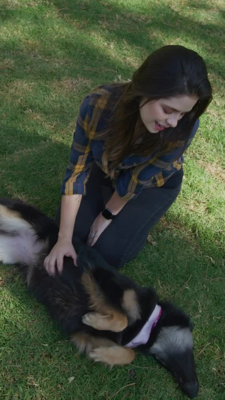 Free Stock Video Woman Petting Her Dog On The Lawn Live Wallpaper - Free Download