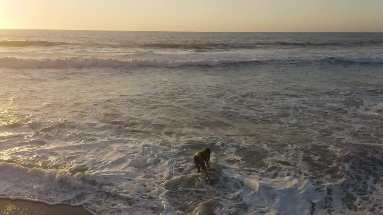 Free Video Stock surfer walking back to the beach Live Wallpaper - Free Download