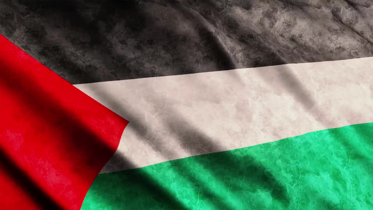 Stock Video Palestine Flag Live Wallpaper - Free Download