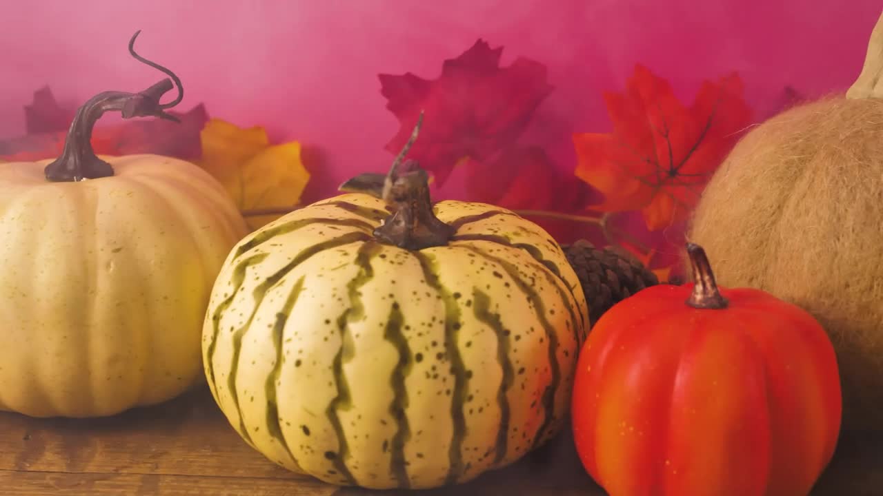 Stock Footage Variety Of Halloween Pumpkins Live Wallpaper - Free Download
