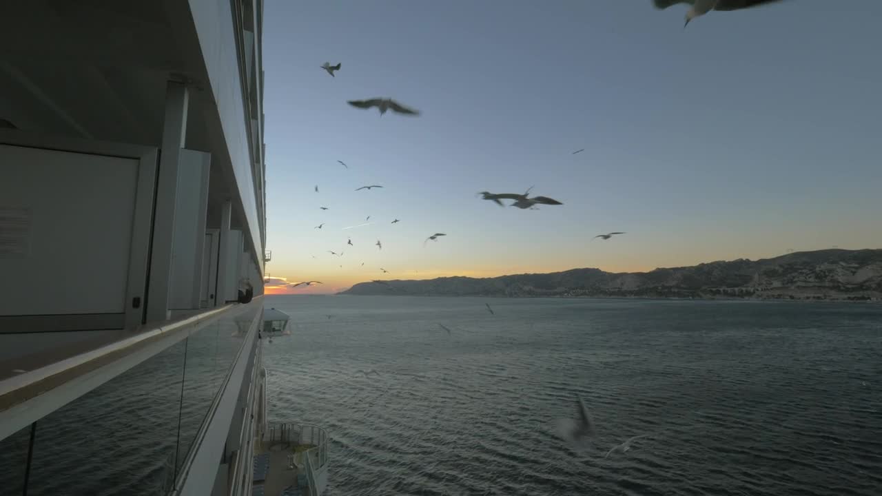 Free Stock Video Seagulls Following A Passenger Ship Live Wallpaper - Free Download