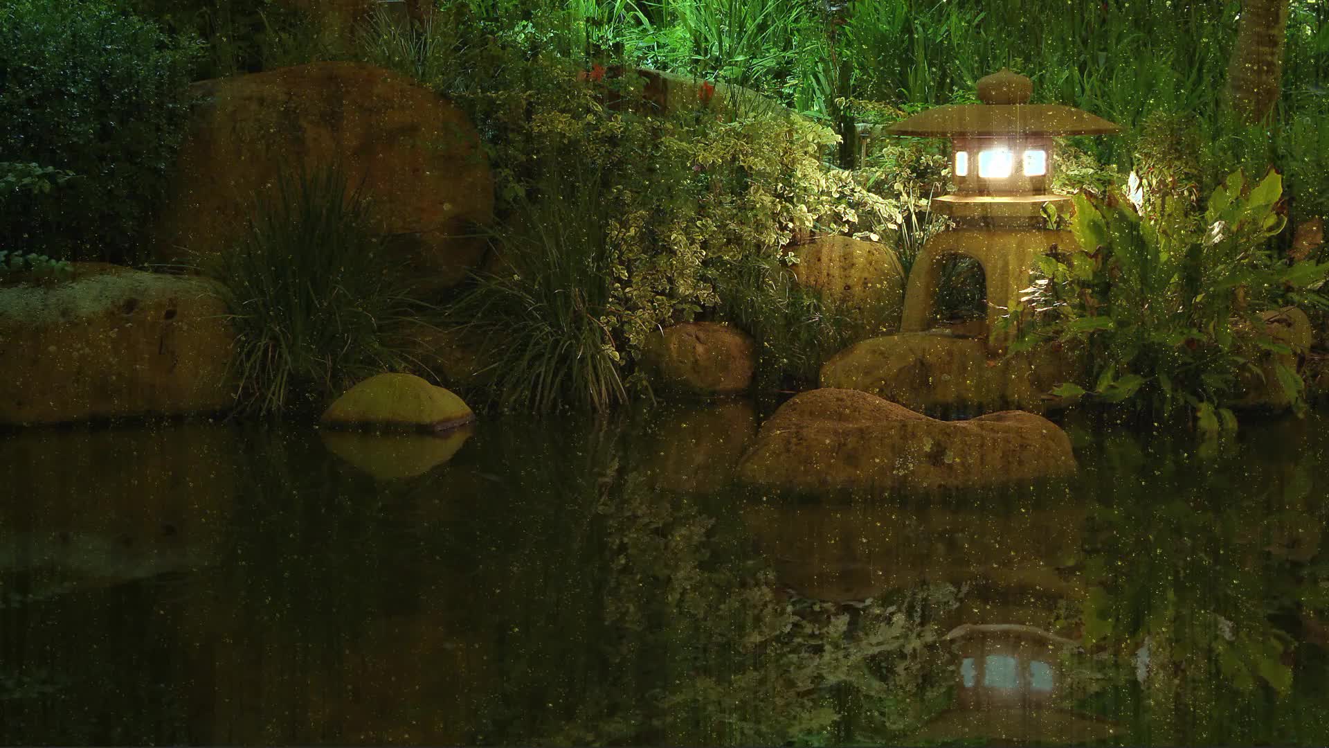 Lantern Showers Hd Live Wallpaper - Free Download