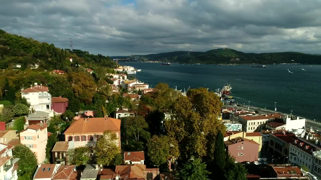 Free Stock Video Seagulls Flying Over A Fishing Village Live Wallpaper - Free Download