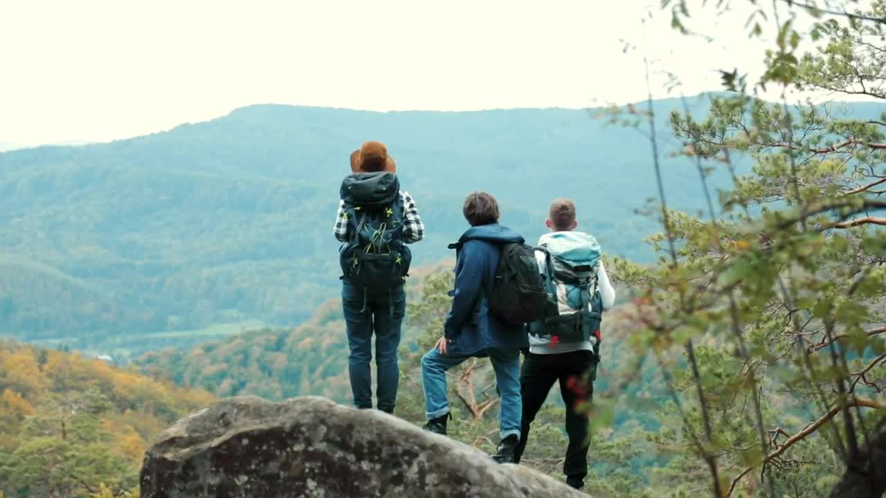 Stock Video Hikers Admire The Forest Valley Landscape View Animated Wallpaper - Free Download