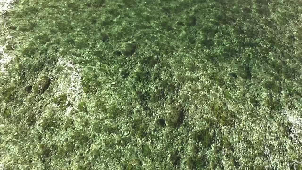 Free Stock Video Rocky Surface Under Crystal Clear Water Live Wallpaper - Free Download
