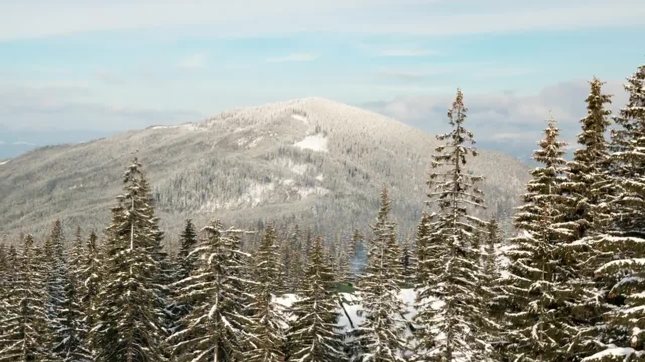 Free Video Stock time lapse of pine filled winter mountains Live Wallpaper - Free Download