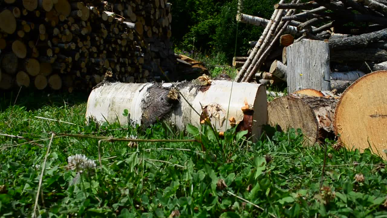 Stock Video Large Chunks Of Fire Wood Animated Wallpaper - Free Download