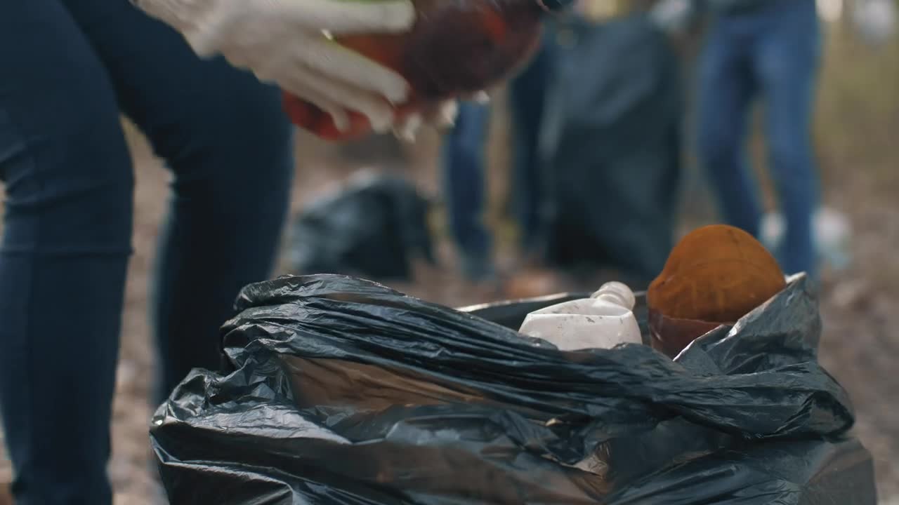Free Stock Video Volunteer Collecting Garbage From The Forest Live Wallpaper - Free Download