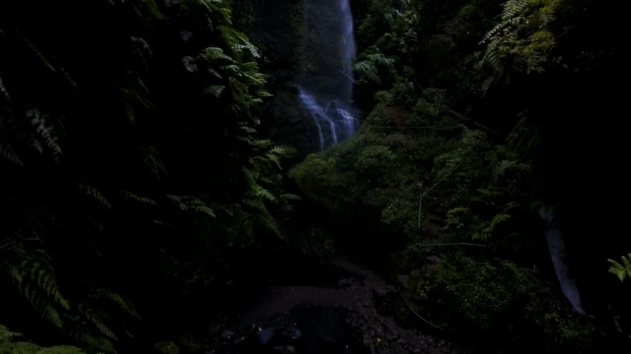 Stock Footage Waterfall In The Jungle Live Wallpaper - Free Download