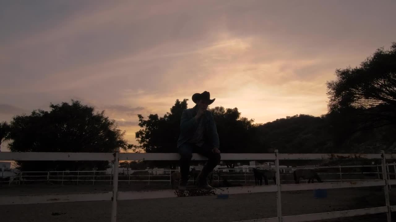 Video Stock Person Sitting On A Fence Silhouetted In Front Of The Live Wallpaper Free - Free Download