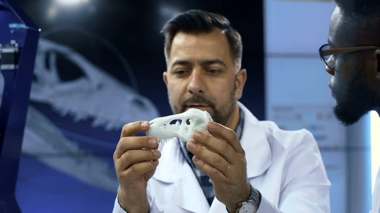 Free Stock Video Scientists Discussing About Dinosaur  D Printed Skull Live Wallpaper - Free Download
