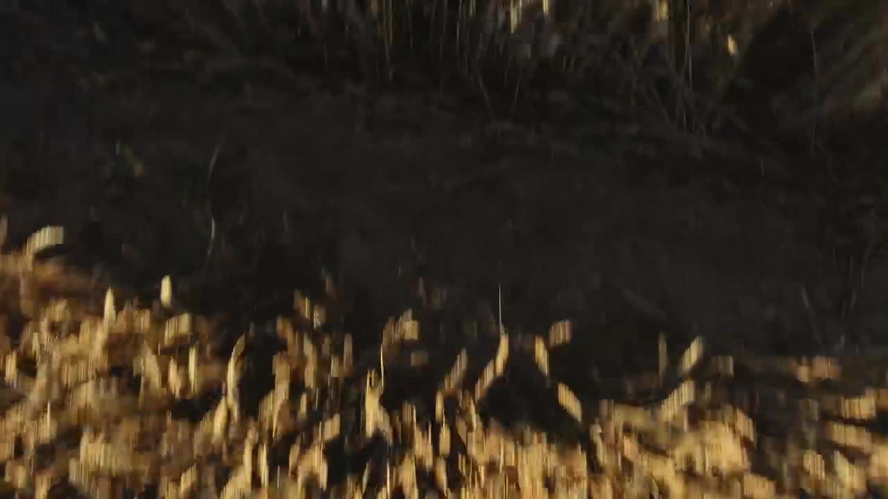 Stock Video Drone Flying Over Crops Quickly Live Wallpaper For PC - Free Download