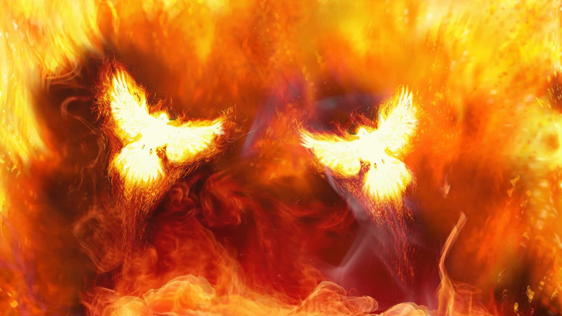 Birds  And  Fire  Live  Wallpaper - Free Download