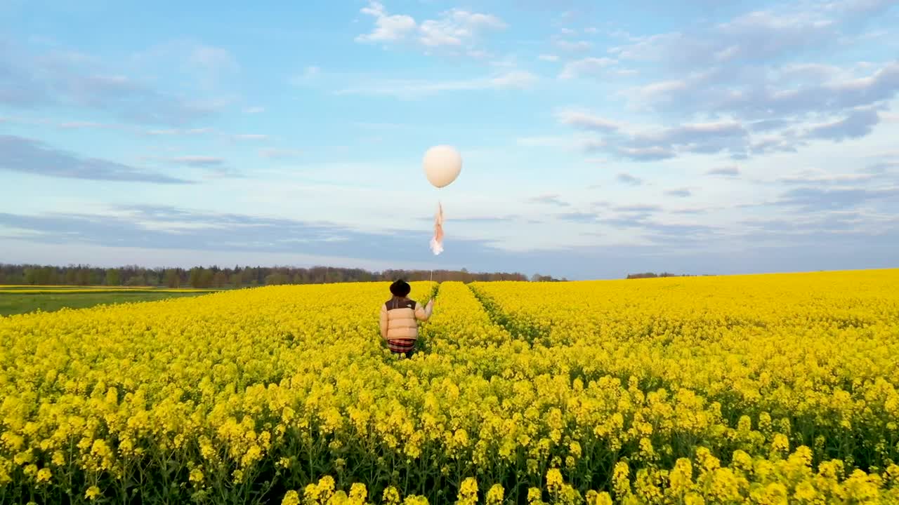 Stock Footage Walking On A Flower Field With A White Balloon In Live Wallpaper - Free Download