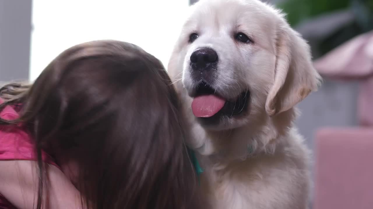 Stock Video Little Girl Lovingly Hugging Her Dog Animated Wallpaper - Free Download