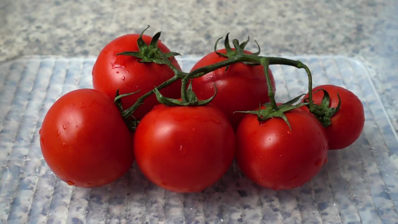 Stock Footage Washing Tomatoes Slow Motion Live Wallpaper - Free Download