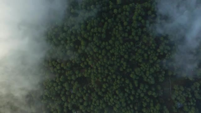 Free Stock Video View Above The Clouds That Cover A Large Forest Smalllive Wallpaper - Free Download
