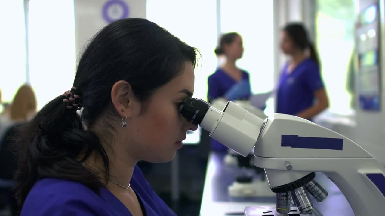 Video Stock Portrait Of Woman Working In A Laboratory Live Wallpaper Free - Free Download