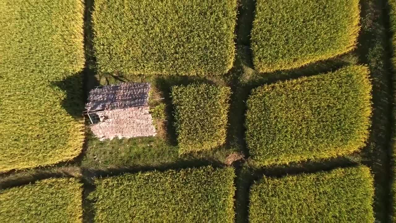 Free Video Stock top zoom out aerial shot in the countryside Live Wallpaper - Free Download