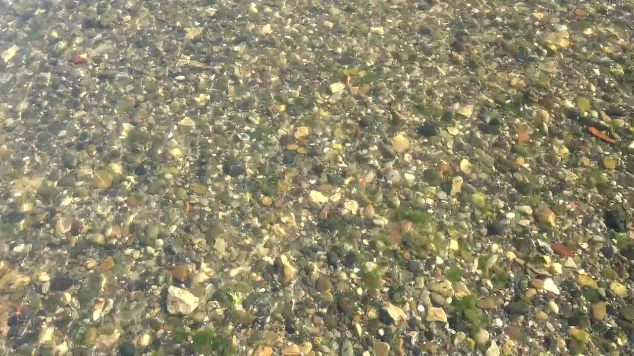 Stock Video Creek And Mossy Stones Live Wallpaper For PC - Free Download