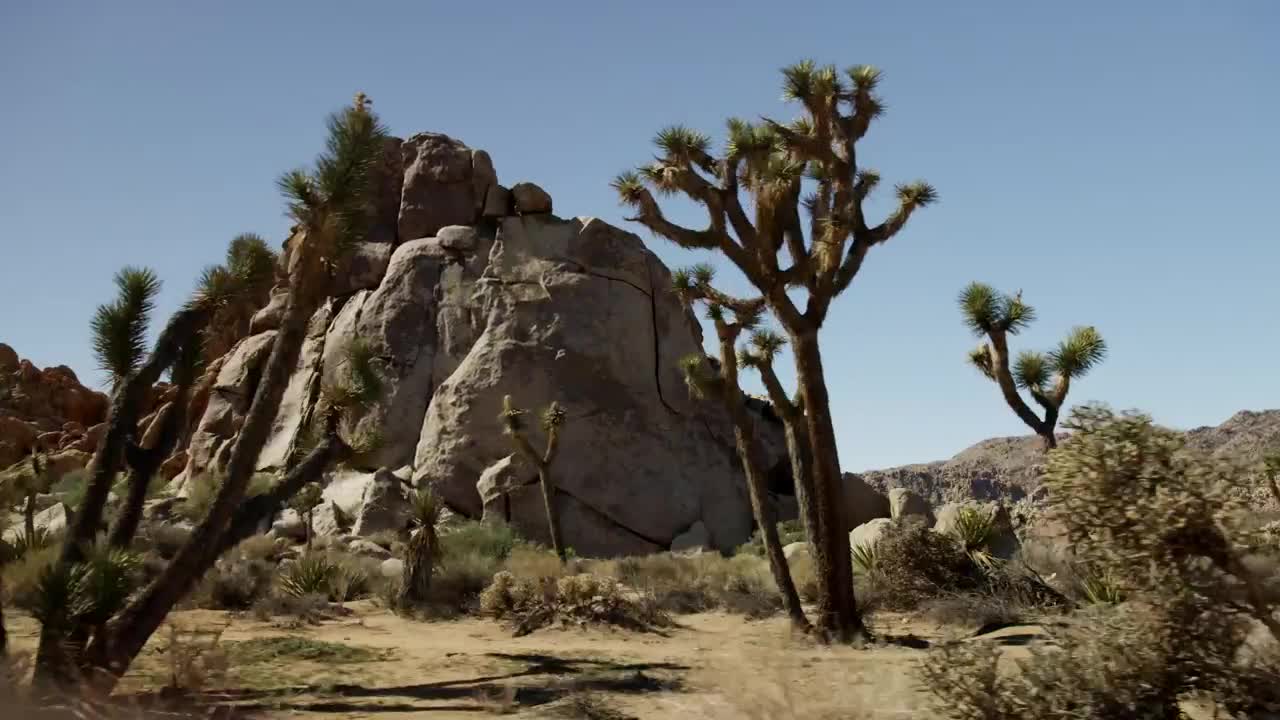 Stock Video Desert With Rocky Mounds Live Wallpaper For PC - Free Download