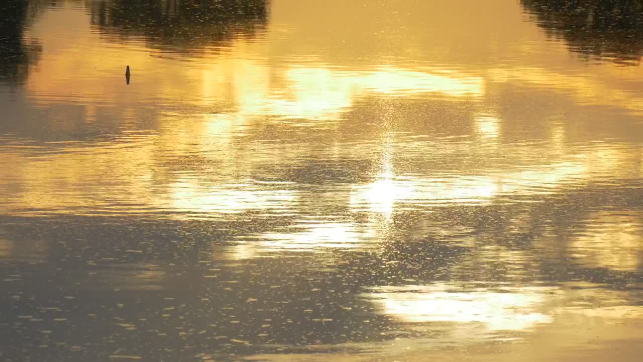 Stock Footage Water With Yellow Sunset Reflection Live Wallpaper - Free Download