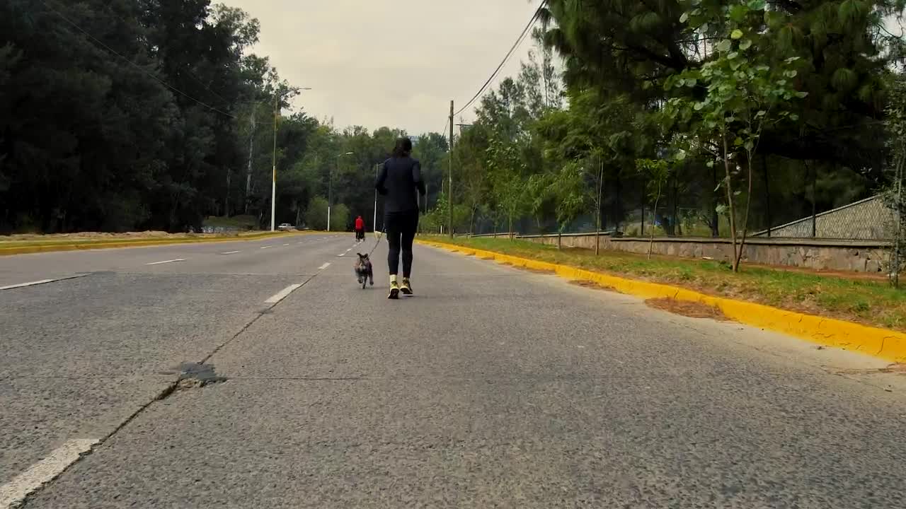 Stock Video Female Runner Walks Her Dog Live Wallpaper For PC - Free Download