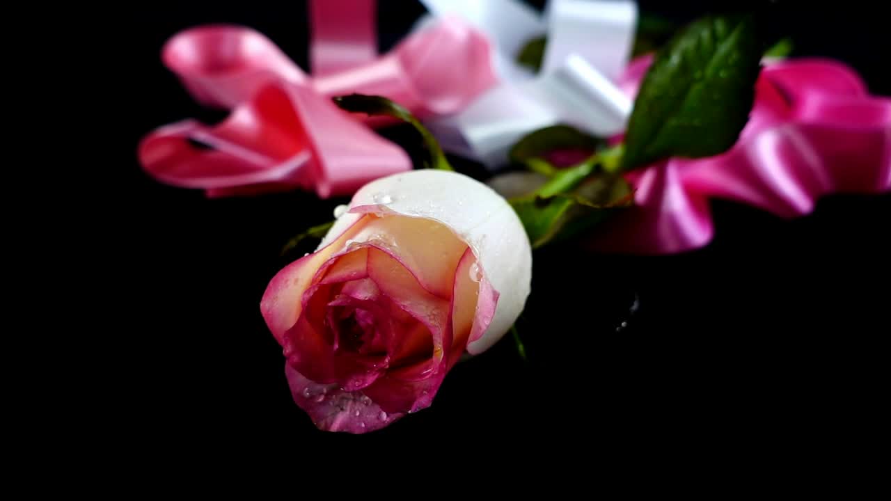 Free Stock Video Romantic Composition Of A Flower And Ribbons Live Wallpaper - Free Download